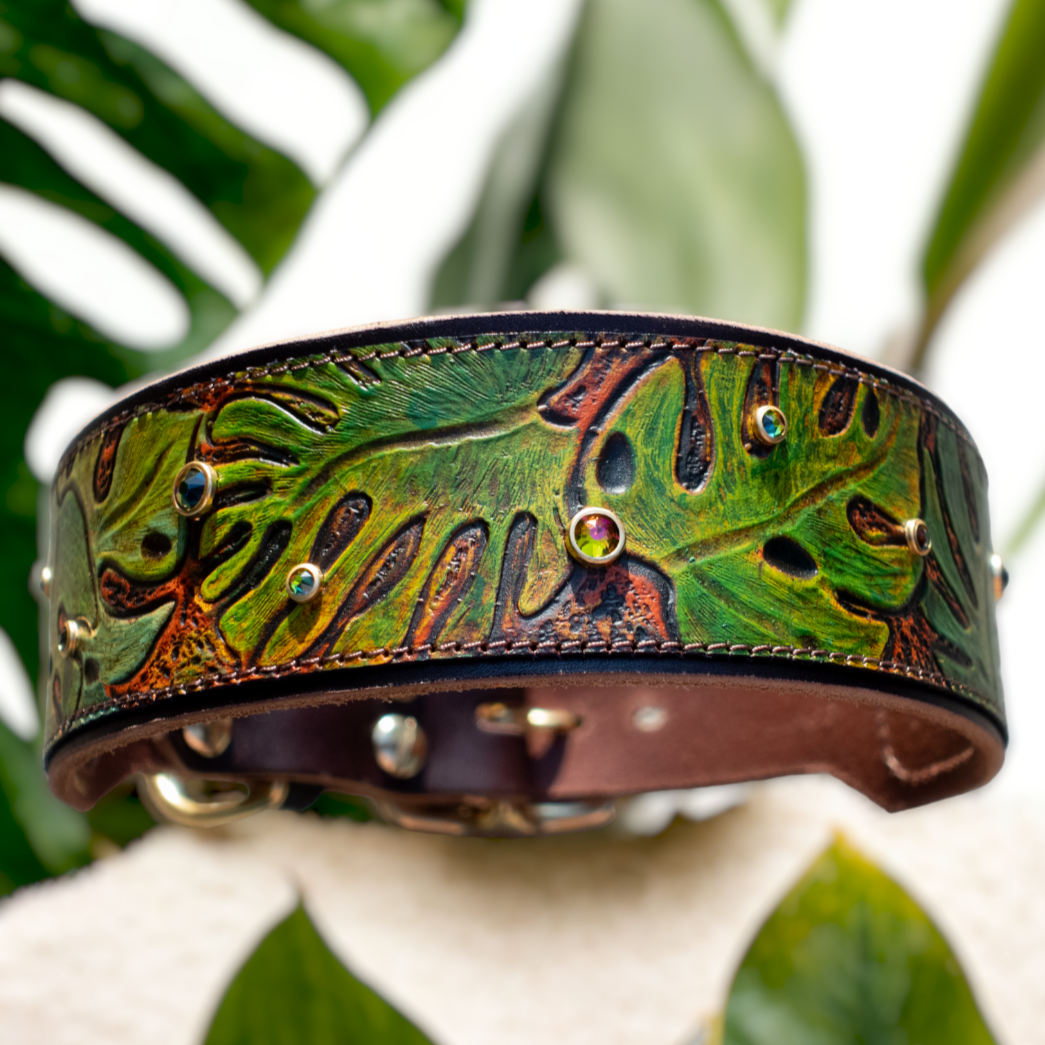 Tropical Monstera Leaf Dog Collar