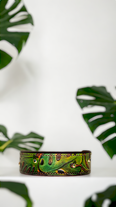 Tropical Monstera Leaf Dog Collar